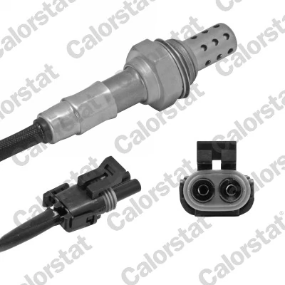 Oxygen Sensor